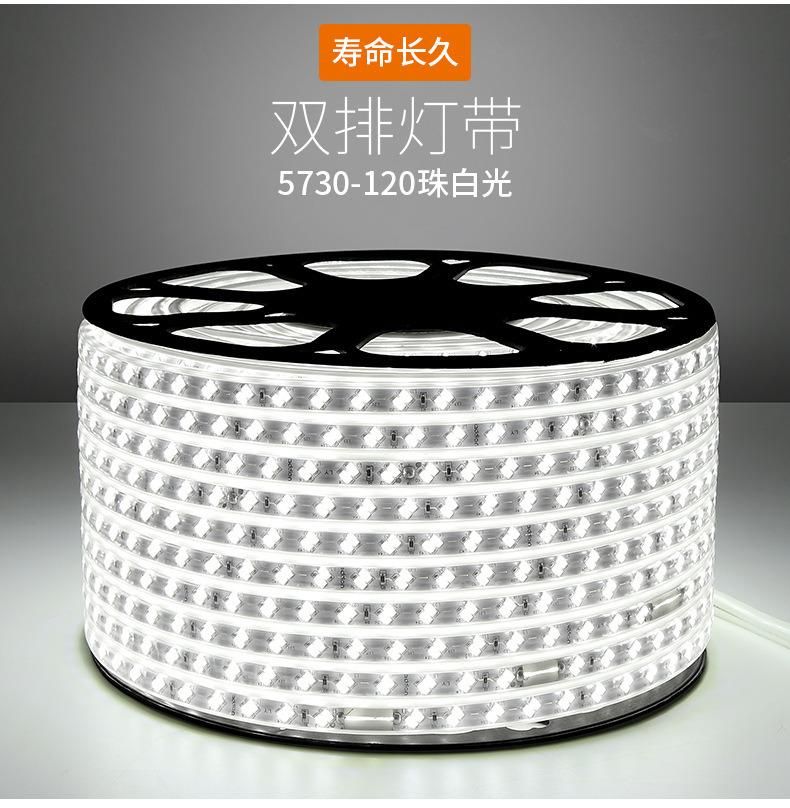 IP67 LED Strip 220V 5630/5730 120LED/M Waterproof Flexible Strip
