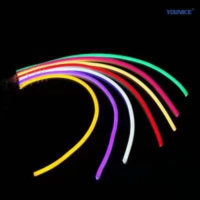 Dream Color Spi 5050 RGB LED Neon Strip with Stable Signal for Landscape Lighting
