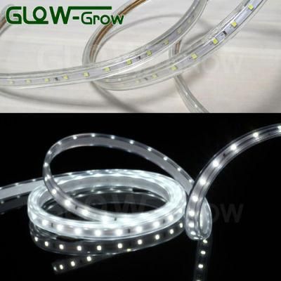 Yellow Rope Lamp AC 120V IP65 Waterproof 60LEDs/M SMD 2835 LED Strip Light