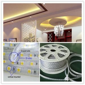 SMD5050 10W/M 60LEDs/M LED Strip Lamp for Christmas Decoration