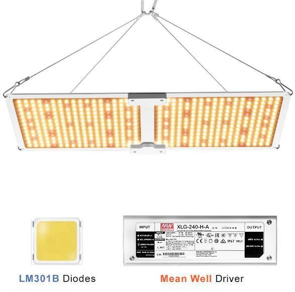 240W Sam-Sung Lm301h LED Growing Light