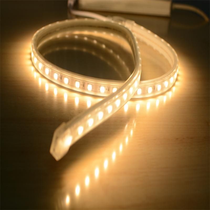 High CRI Dimmbale SMD2835 Double Line LED Light Strip IP67 Waterproof