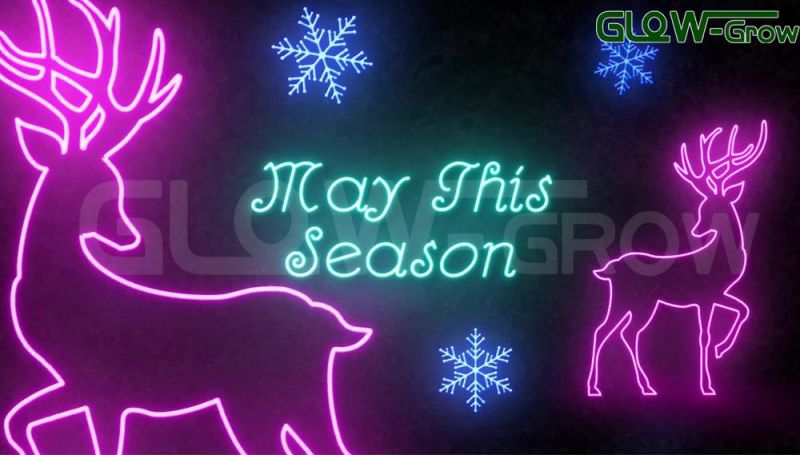 IP65 Waterproof 24V RGB LED Neon Flex Light for Christmas Decorations