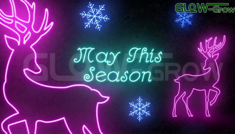 IP65 Waterproof 24V RGB LED Neon Flex Light for Christmas Decorations
