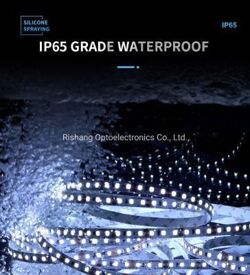 IP65 Silicone Spraying 120LEDs/M High Quality SMD2835 LED Strip