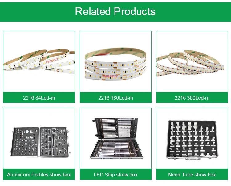 Hot Selling Full Spectrum CRI 99 12V 24V Waterproof Light Strip LED SMD 2835 Flexible LED Strip Lights