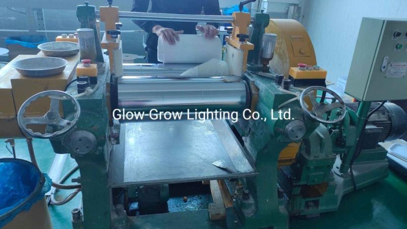 12V CE RoHS Warm White Silicon Neon Flex The Denny Letters Advertising LED Neon Light Sign for Commercial Decoration