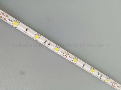 High Density LED Strip Light DC 12V/24V White Color Light for Landscape Lighting