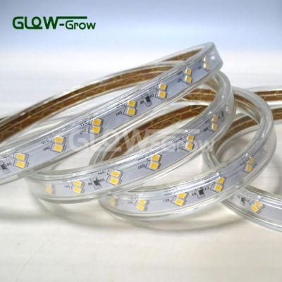 230V 100m IP65 60*2LEDs/M 2835 IP65 LED Strip Light for Outdoor Light