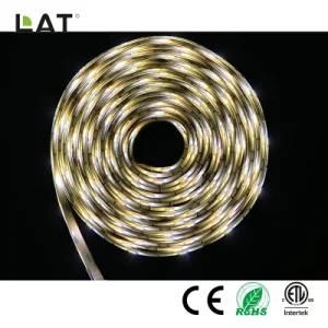 DC24V 3m IP65 Double CCT SMD5025 Ww and Cw 30/60/120LEDs Flexible LED Strip Light