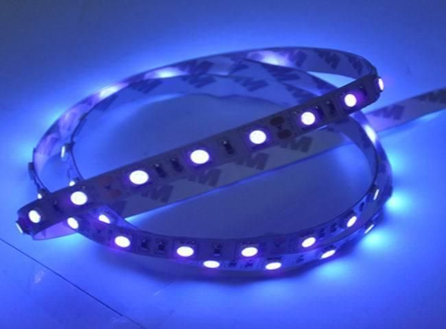 3528 (Epoxy waterproofing) LED Strip