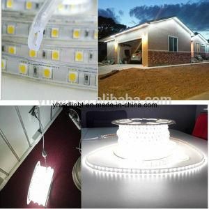 ETL 110V 220V 5050 LED Strip Light White Christmas Outdoor