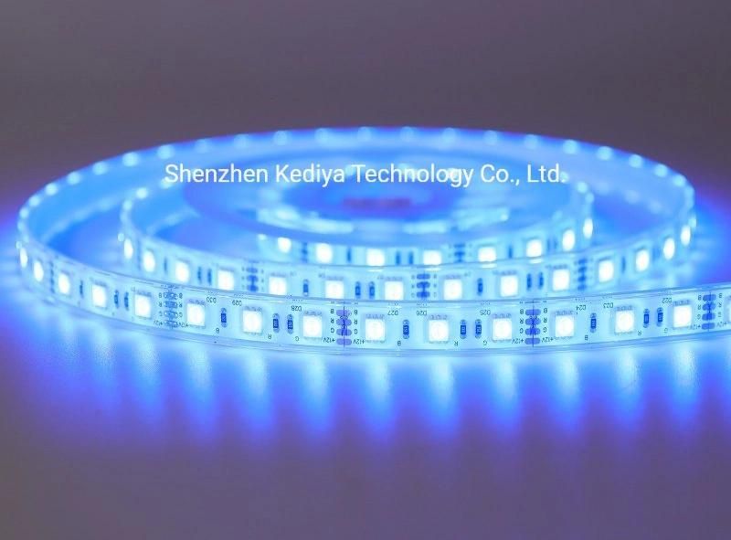 SMD 12V 24V LED Underwater Silicone Extrusion Waterproof IP68 Rope 5050 60 RGB Flexible LED Strip Light for Pool and Home Decoration Light