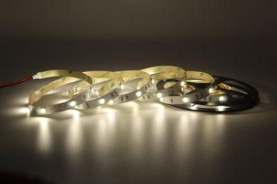 12V/24V LED Lights White Color High Lumen SMD LED Strip for Home Lighting