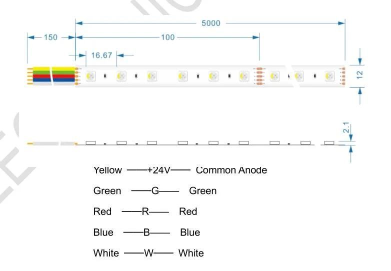 24V DC 5050 60LED/Meter RGBW LED Strip Manufacturer