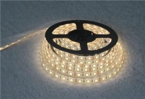 12V Warm / Cool White LED Tape 60 Per Metre