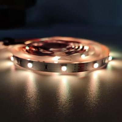 Latest Popular 5050 RGB Flexible Decorative Atmosphere 5 Meters 12V Light Strips