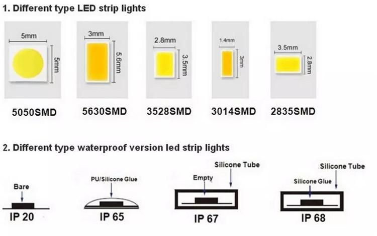 RGB LED Streifen SMD 2835 5050 LED Strip Light 5m 10m 30m/Roll 300 LEDs DC12V 24V Ribbon Tape Light