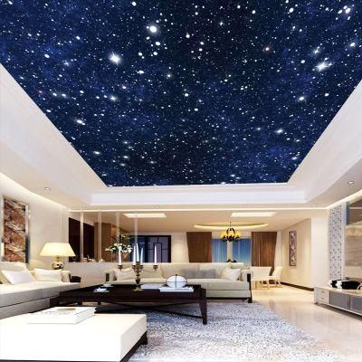 RGB Star Ceiling Optical Fiber Light Star Ceiling Panel