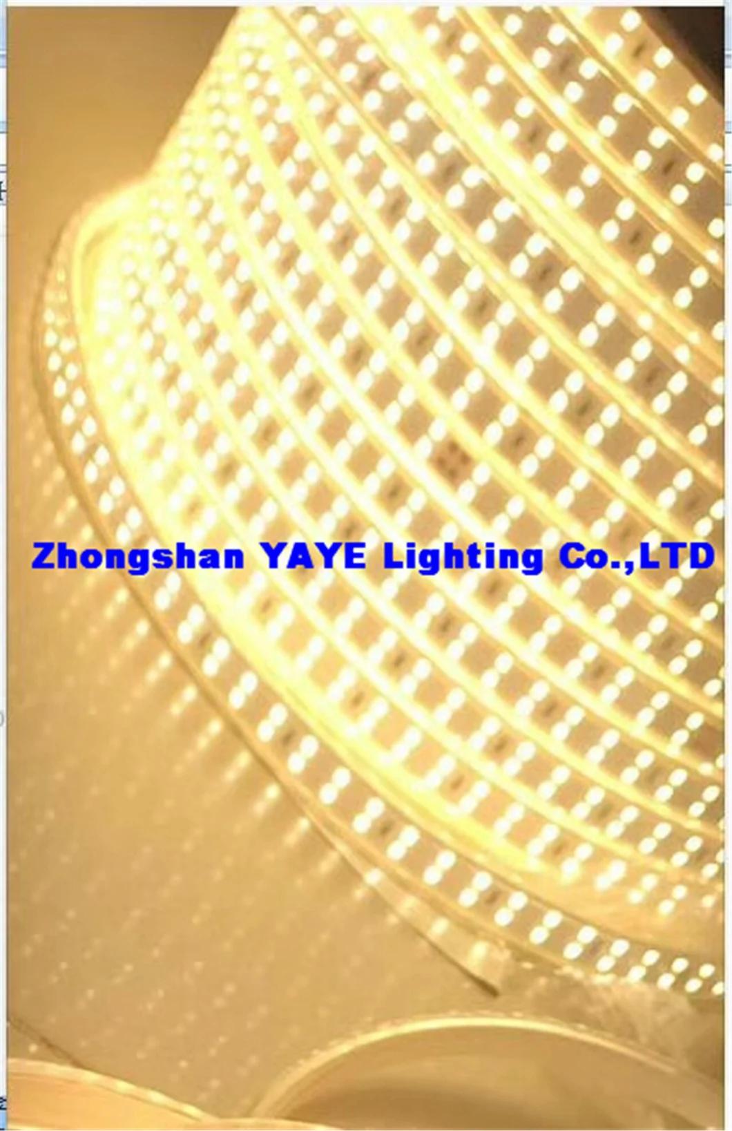 Yaye 18 Hot Sell 12V/220V SMD2835 RGB Waterproof IP68 LED Strip Light / SMD LED Strip Light /LED Decorative Light with 2 Years Warranty