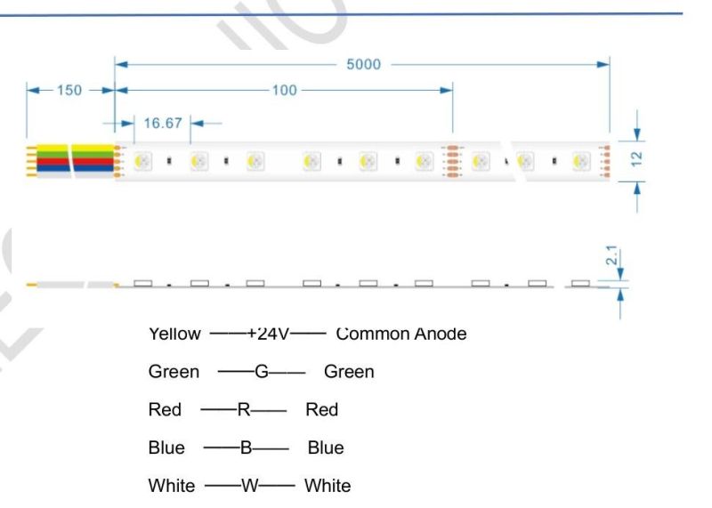 RGBW SMD5050 60LEDs 14.4W LED Flexible Strip for Decoration Project