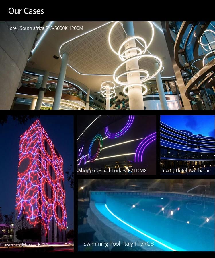 Perfect Light Pool Digital LED Neon Flex Strip