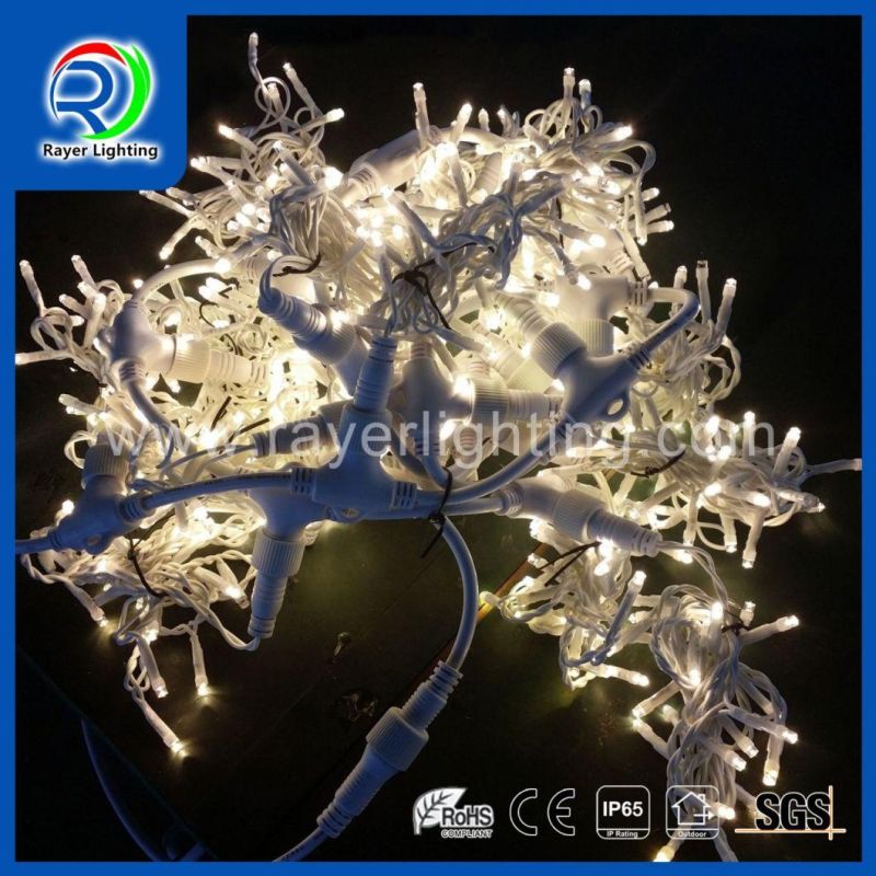 Green Wire cUL LED Curtain Lights Commercial Christmas Garden Lights