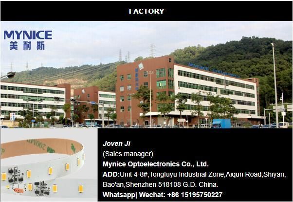 5mm 120LEDs/M 12V High Brightness SMD 3014 LED Light Strip