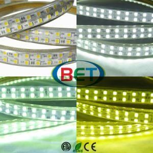 Multi-Color 110V 220V Waterproof LED Strip Lamp
