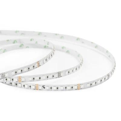 SMD3535RGB LED Strip Color Changing Flexible RGB