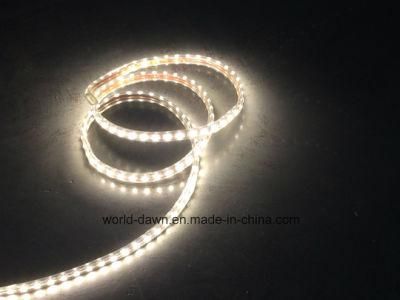 SMD5050 IP65 LED Rope Light with Ce&RoHS Approval