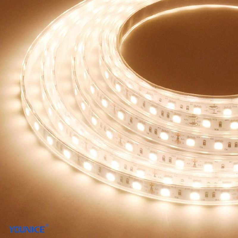 Withstand High Temperature and High Humidity LED Flexible Strip