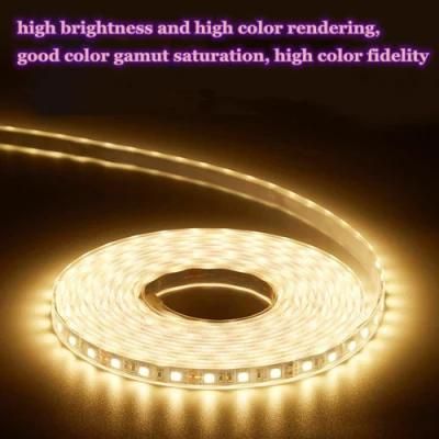 CRI&gt;95 Ra&gt;97 Rg&gt;98 Full Spectrum LED Strip for Clothing Store