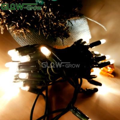 32.8FT Outdoor LED String Lights 100LED Patio Light with CE RoHS Cable