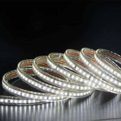 Exterior Using LED Flexible Strip Light with Ce and RoHS Certificate SMD 2835