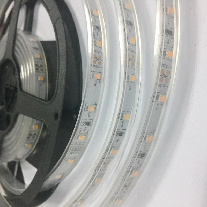 Colorful 60LEDs/M 3528 Flexible LED Strip Light for Garden Lighting