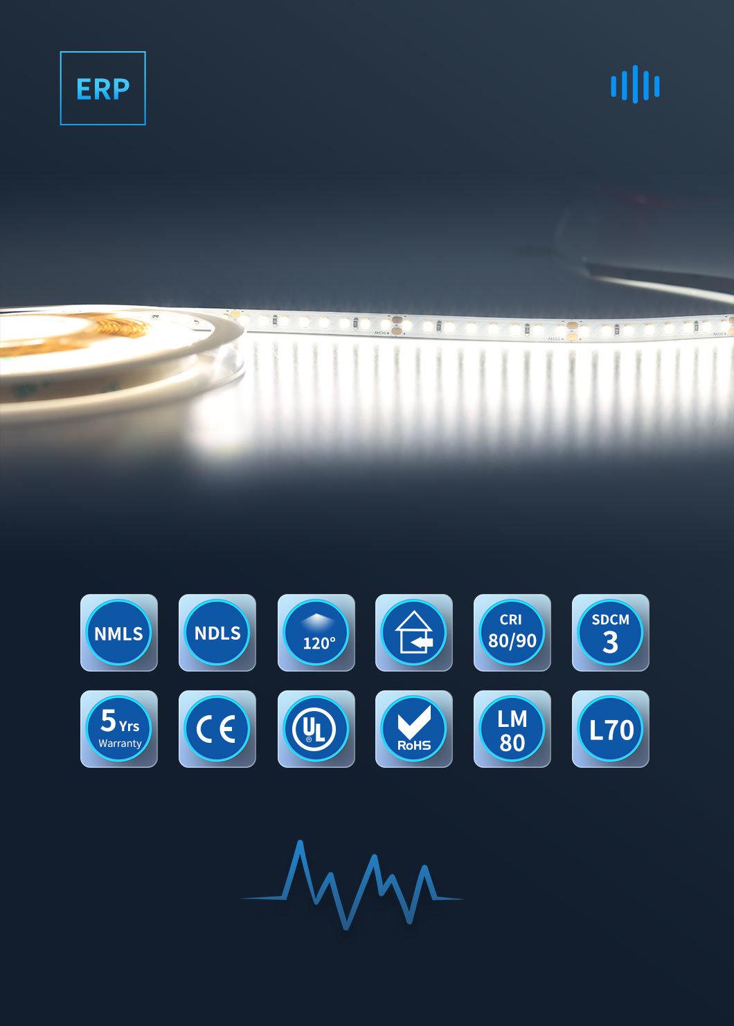 High Efficiency LED 210lm/W Lm80 Approved UL CE Flex LED Strip