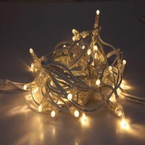 Warm White Rubber Wire 0.5mm Lamp Bead LED String Light for Outdoor Engineering Project