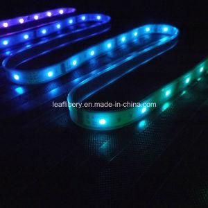 Ucs1903 Digital Strip LED Flexible LED Strip Swimming Pool LED Strip Lighting