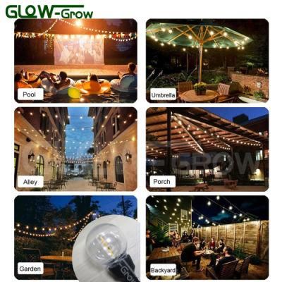Connectable Christmas LED Filament Festoon Light for Outdoor Decoration