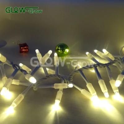 Stage Use Flexible Christmas LED Cracker String Light with Flash Bulb 9+1