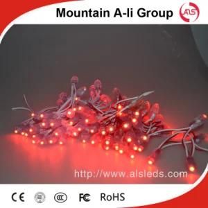 &#160; Twinkle Lighting LED String with Red Color 5V Lamp