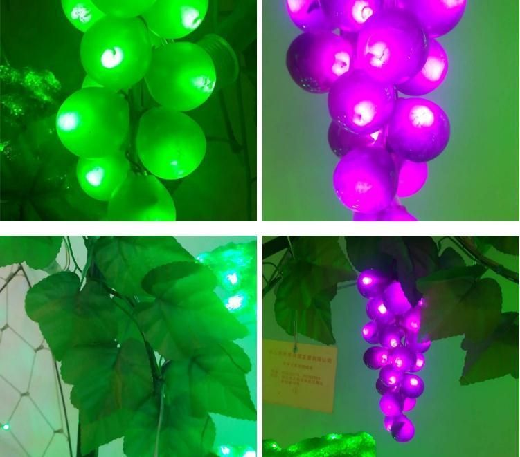 2018 Beautiful Style Grape Light String and Decorative Light