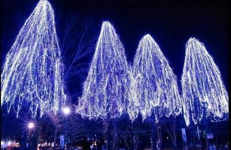 Hotel Christmas Decoration 2.5m Height LED Willow Tree Light