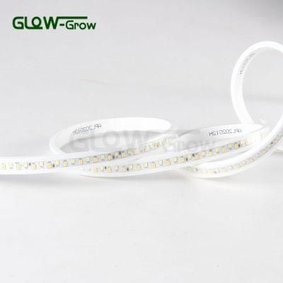 Decoration Dual Color LED Strip 2835 IP65 144LEDs/M Strip Light with Two Chips LED