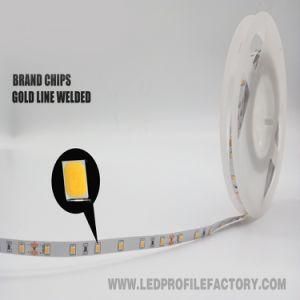 GS2835 LED Flexible Strip for Decorating