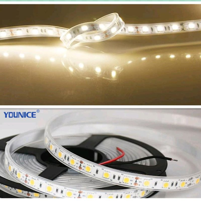 Withstand High Temperature and High Humidity LED Flexible Strip