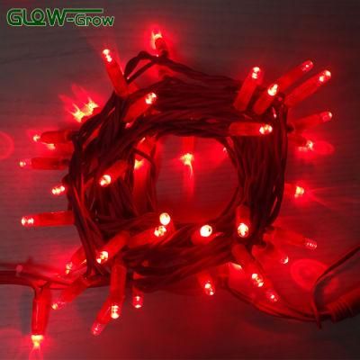 230V IP65 Christmas Rubber Wire 60LED 4m String Light for Pub, Club, Concert Decoration