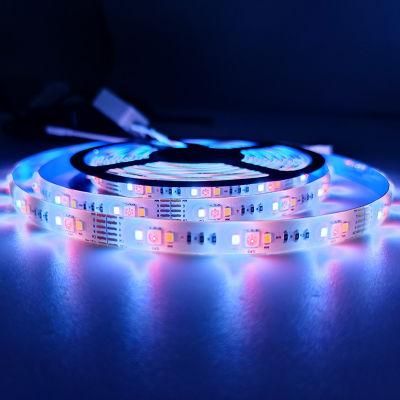 Energy Saving China Factory LED Strip Light with 3 Years Warranty