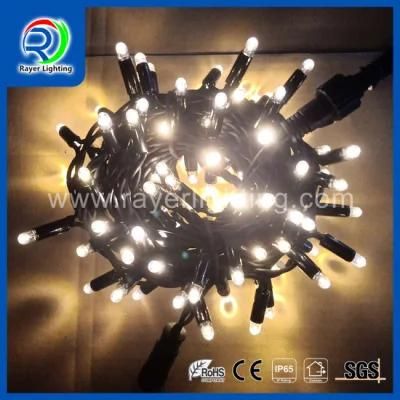 LED String Light LED Twinkle Light LED Outdoor Colorful Light LED Fairy Holiday Light